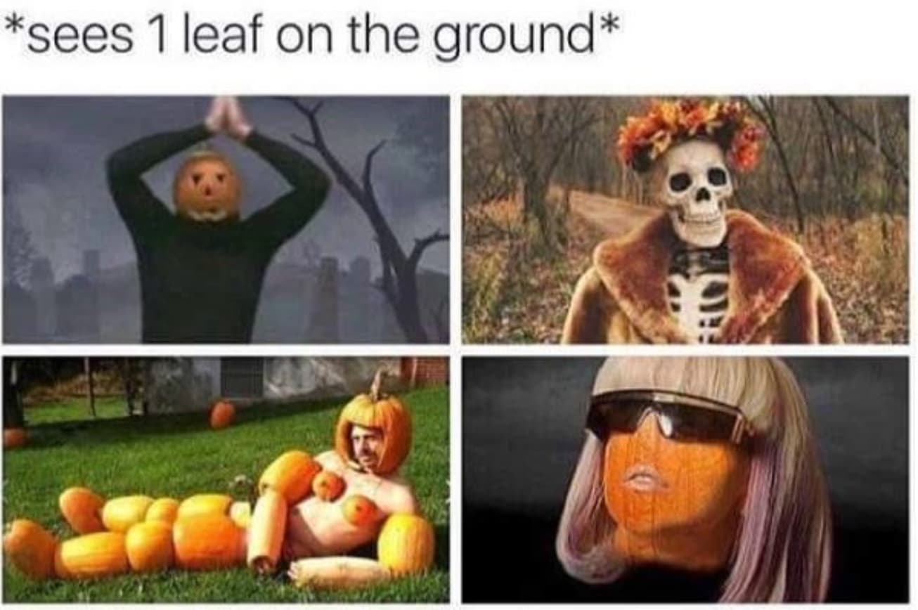 its fall meme - sees 1 leaf on the ground